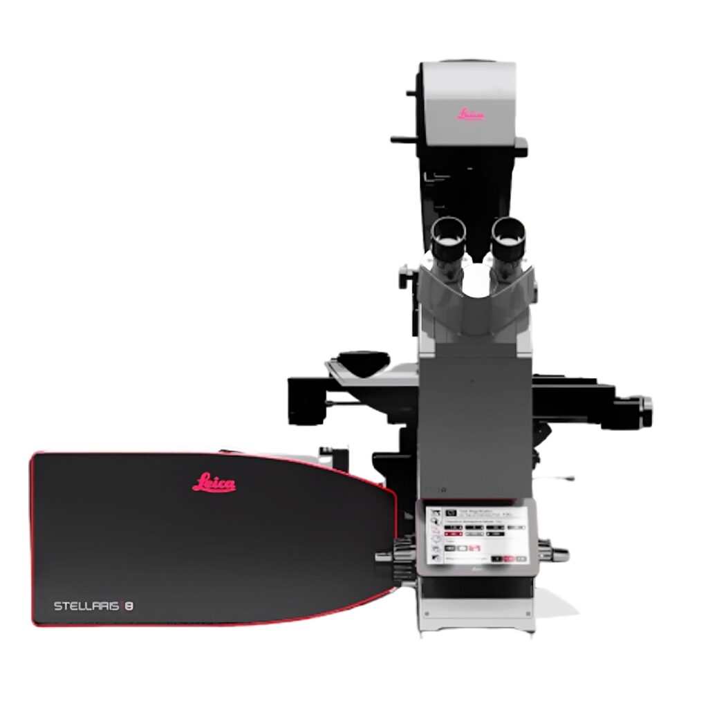 Microscopio confocal leica stellaris 8 é a melhor solução para sua empresa.