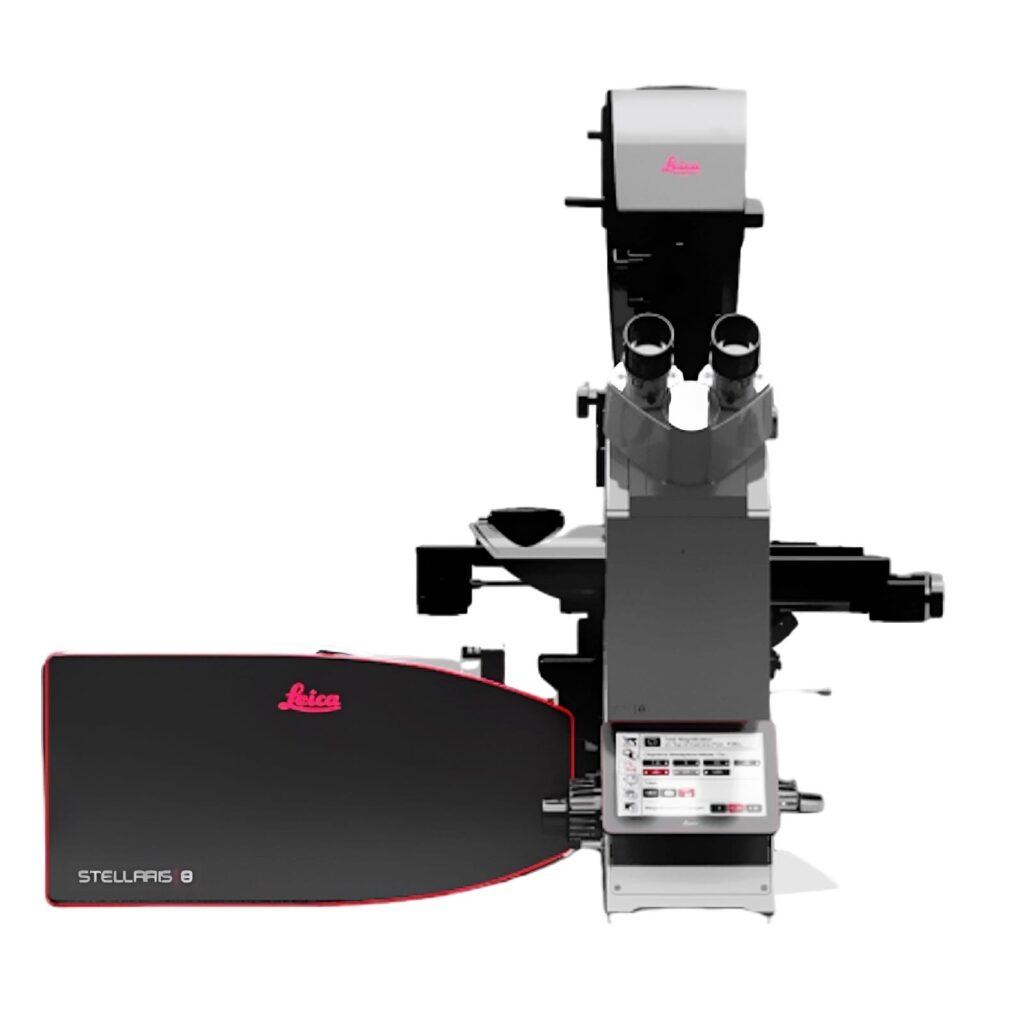microscópio confocal e super resolução permite precisão de imagem em processos dinâmicos.