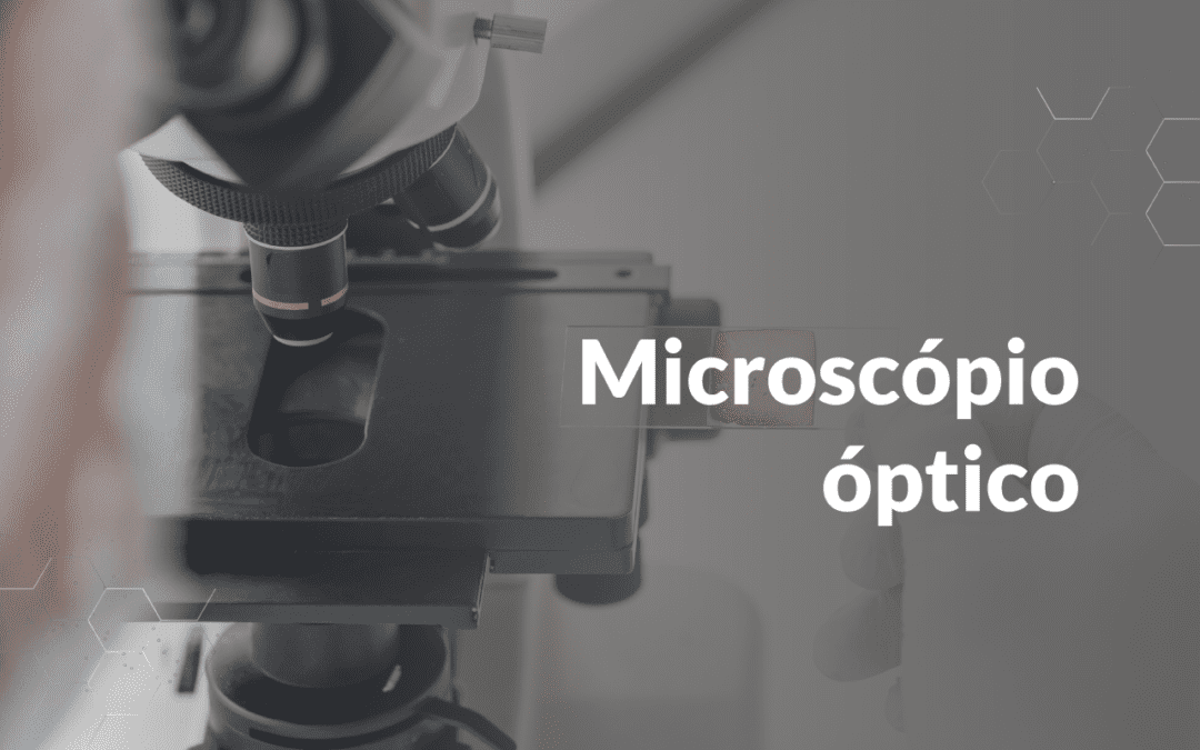 Microscópio óptico: A chave para explorar o universo microscópico