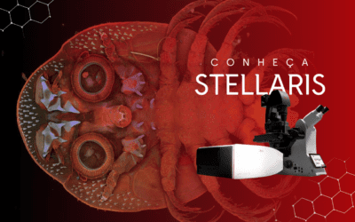 STELLARIS: Inove suas análises com a plataforma de microscopia confocal mais versátil do mercado