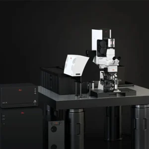 STELLARIS-DIVE–microscopio-multifoton