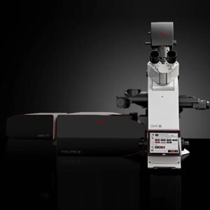 stellaris8-sted-microscopia-de-deplecao-por-emissao-estimulada