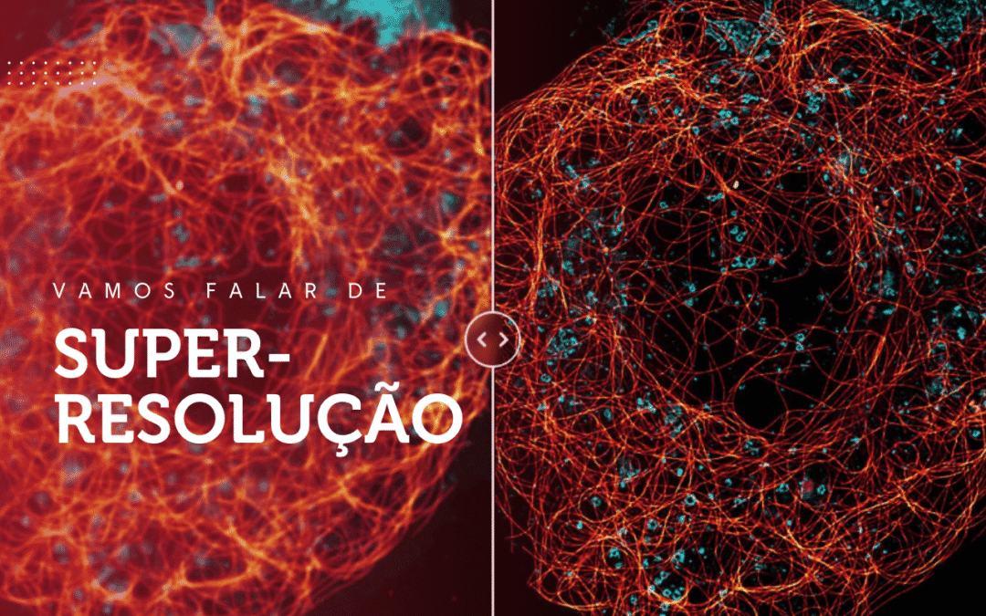 Saiba como funciona a microscopia de super-resolução STELLARIS STED