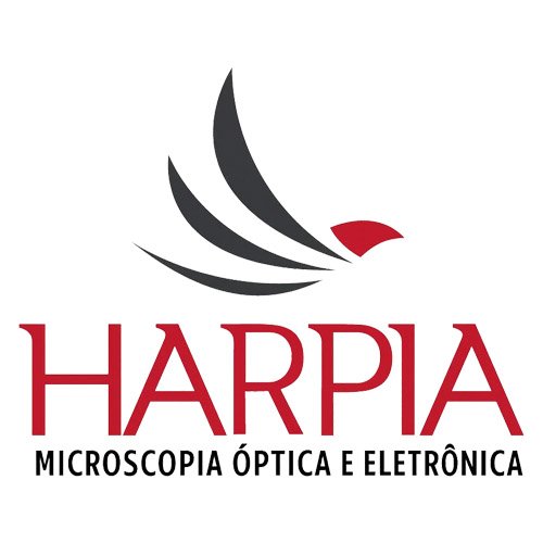 Harpia Representacao