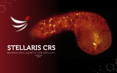 Microscopia química sem rótulos: Desvende a composição da amostra com STELLARIS CRS