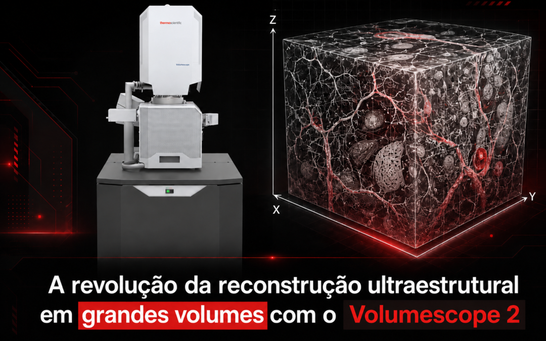 A revolução da reconstrução ultraestrutural em grandes volumes com o Volumescope 2